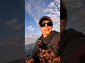Guy attracts a friendly dolphins attention while showing off a fish! #shorts #dolphin