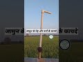 जामुन के पेड़ और पत्तों के फायदे #youtube #viral #trending #जामुन #पेड़ #फायदे