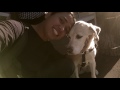 A Friend in Sight (Guide Dog Documentary)