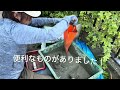 DIY庭づくり⑥玄関周りから完成まで