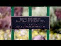 The Aberfan Disaster | A Short Documentary | Fascinating Horror