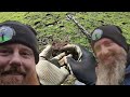 Metal Detecting UK • Is This The End For My Garrett Carrot? • XP Deus