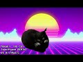 Maxwell the Cat REMIX #synthwave