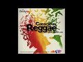 Conscious Reggae 90's-2000's