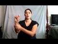 Learn ASL in 31 Days: Day 1 :: Alphabet