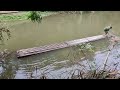 Make fish traps. Collect fishing rods. Survive alone : part 2