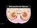 Introduction to CT Abdomen and Pelvis: Anatomy and Approach