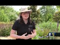 OKC Zoo helps local schools created gardens for outdoor science classrooms