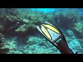 Key Largo French Reef Drift SCUBA Dive with Rainbow Reef Dive Center 20200623