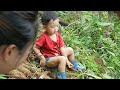 Harvesting cassava, processing cassava, drying and preserving - Chúc Tòn Bình