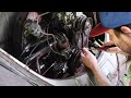 Oval Vw Beetle Rescue | STUCK Engine - Rare 1956 Engine is Seized!
