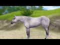 New horse breeds ANIMATED into SSO😍