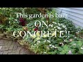 Buffalo Garden Walk 2024 - stroll through Dozens of unique and imaginative gardens with me!!