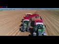 Grimme SV260 MultiSep NonStopBunker - Fendt 516 | Raccolta Patate 10 km/h | Az. Valmori