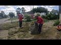 SHOCKING DISCOVERY Almost Ended Our OVERGROWN Yard MAKEOVER