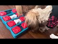 Outward Hound Nina Ottosson Dog Brick Interactive Treat Puzzle Dog Toy 🦮🐶🐾💛