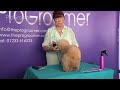 Grooming Guide - Toy Poodle Pet or Salon Trim - Pro Groomer