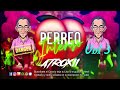 MIX PERREO INTENSO 2024🔥 VOL 003 [INTRO MI BEBITO FIU FIU] | DJ ATROXII🔥