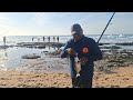 #Fishing Durban #Ifafa Beach(South Coast)/Fishing for #Shad #Bluefish #blacktail ....Catch and Cook