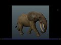 Roblox mosaic survivl/ elephant troting animation