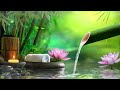 Relaxing Music Relieves Stress, Anxiety and Depression - Calming Music, Nature Sounds, Water Sounds