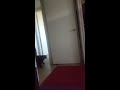 Blind cat sees ghosts