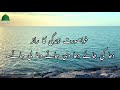 Beautiful Life Quotes |  Golden Words | Precious Quotes | Aqwal e Zareen in urdu  | Beautiful Quotes