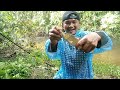 sarang ikan maser || Rio Saputra Asm