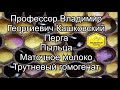 Самые лучшие продукты для укрепления иммунитета.