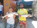 Guiding Fishing Trip - Charting -Trolling - Doble  strike Leerfish -Lica - 14. juli 2024.