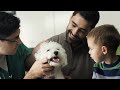 How To Train Your Bichon Frise Dog To Do Fun Tricks!