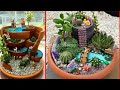 Outdoor Succulent Garden Ideas Front Yard Succulent Garden Ideas