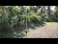 My camp, Bear Island Campground, Big Cypress National Preserve, Florida, January 2021