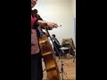 Ahron cello