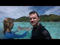 French Polynesia - Moorea Vlog