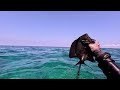 Spearfishing the Shallows - 3-Prong Session - Father's Day Dive - Big Island of Hawaii