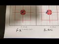 FX hybrids versus Zan slugs in .22 cal with fx impact