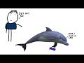 Why did NASA Wanted DOLPHINS in the U.N?