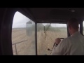 Scheel Farm Corn Harvest August 2015