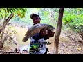 SALIM.. MANCING DI DALAM HUTAN NEMU ANAK TRENGGILING (viral mancing video)