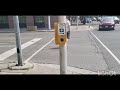 Traffic lights #7 Cobourg Downtown #2 with Flashing Advance Green
