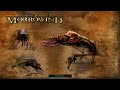 Morrowind but Every Door is Randomized!