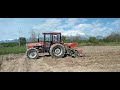 Massey Ferguson-274 i Sijanje Kukuruza/2021