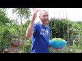 This SIMPLE Garden Trick Will GUARANTEE You More Peas!
