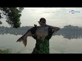 Trik cara maser ikan patin manuver ,maser  reaksi. teknik maser patin