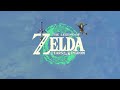 I Made EEVEELUTIONS from *Zelda* Types