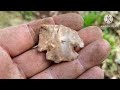 NEW SITE DISCOVERED SIFTING FOR ARROWHEADS AND ARTIFACTS ON THE RIVER BANK