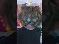 THERIAN/CAT MASK TUTORIAL ☆ FULL VIDEO /ᐠ - ˕ -マ