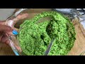 GREEN SEASONING RECIPE | GREEN SAUCE RECIPE || CARIBBEAN GREEN SEASONING || TERRI-ANN’S KITCHEN