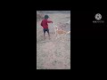 Kids activity with Dog ||Fun|| Training||🤸‍♂️🤞🤞